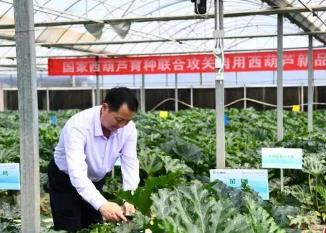 农业专家集聚山西 论道蔬菜产业发展