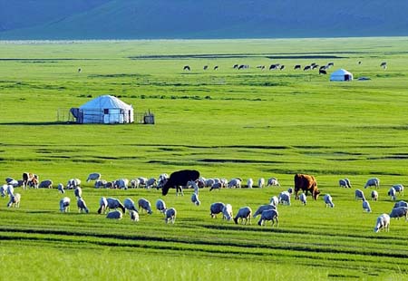 2023年内蒙古接待游客2.3亿人次 实现旅游收入3350亿元