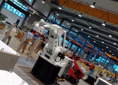 中国工业机器人面临高端产业低端化和产能过剩风险