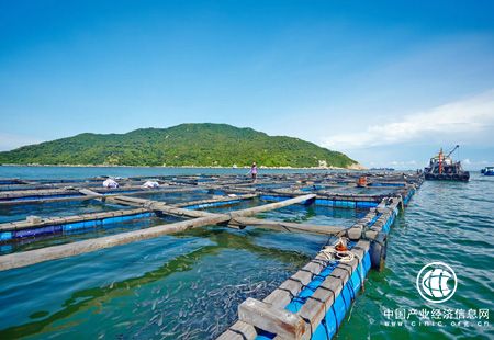 沿海地区加快布局 海洋经济数万亿级市场空间有望开启