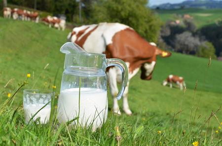 奶粉新政倒逼海外并购加速 乳业国际化或掀第二轮高潮