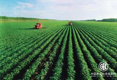 黑龙江垦区绿色有机食品发展迈入快车道