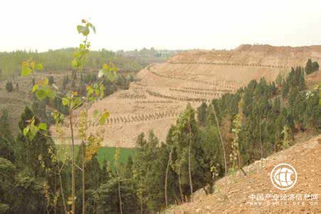 限公司积极履行社会责任:复垦地造出碳汇林 -