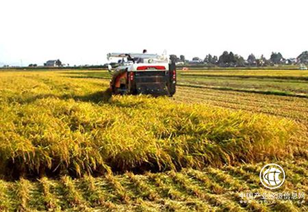上半年河南农业农村经济发展呈现出良好势头