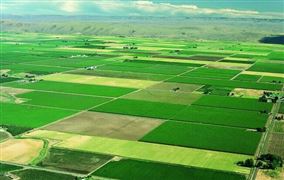 四川划定永久基本农田面积7806万亩