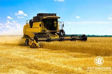 今年全国夏粮产量为历史第二高位 为何丰收又增收？