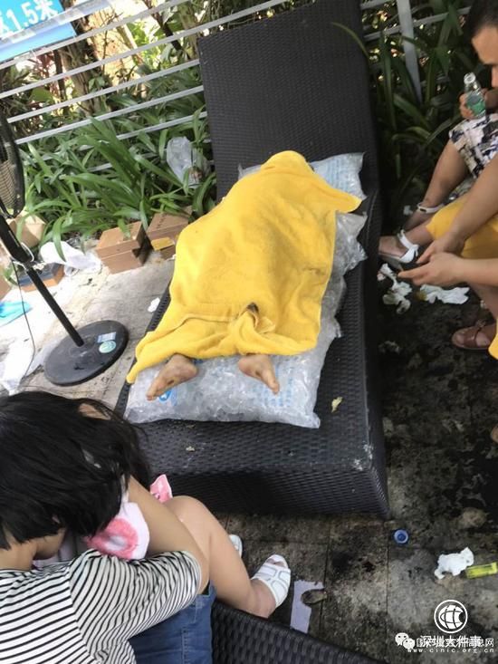 深圳一4岁男童泳池溺亡 母亲和救生员就在旁边