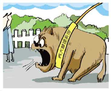 养犬法规执行“走样”：专家呼吁国家统一规则规范
