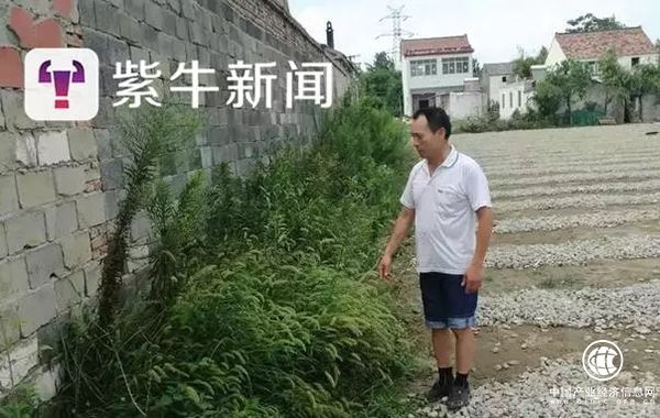 江苏淮安一陵园建村民家门口被指违建，媒体采访后才上报材料