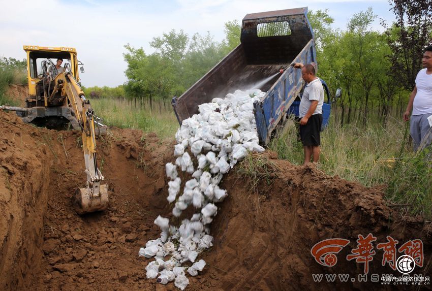 果农滥用催熟药剂 两万斤葡萄被深埋销毁