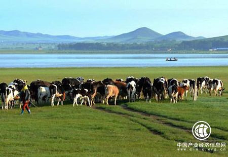 内蒙古：农牧民牵手龙头企业奔小康