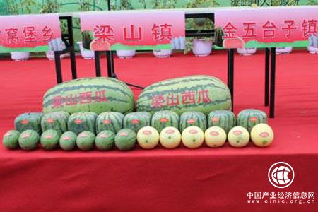 辽宁沈阳出台打造十大农业品牌实施方案 - 各地