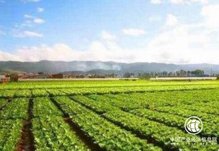 海南农垦加快向现代农业转型升级