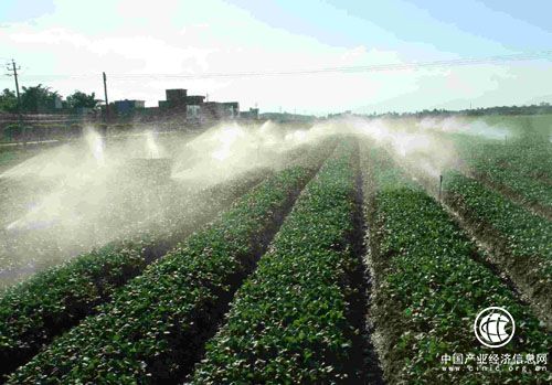 农业部：强化耕地资源保护 推进节水农业发展