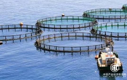 全球市场蓄势待发 深海渔业养殖装备能否火起来？