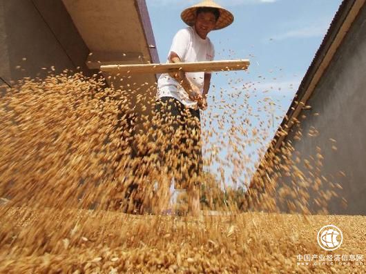 国家发改委12年首次下调小麦最低收购价格