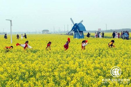 黑龙江肇州县农村产业融合发展示范园成国家级示范园