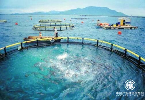 五年海南临高县渔业产值增长近十倍