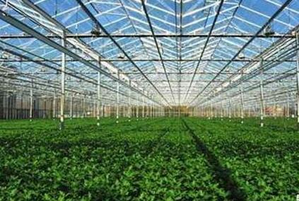 安徽将建设10个省级现代农业产业园