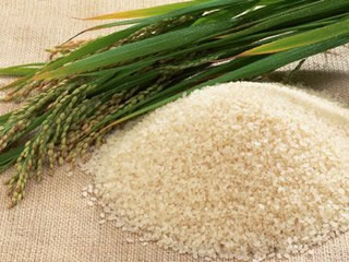 品种退化 进口冲击 稻米“产业病”亟待破解