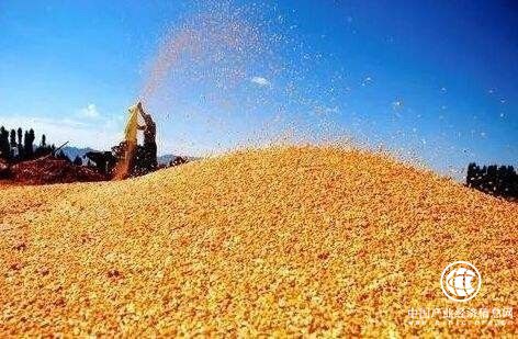 国家粮食局：秋粮收购量已达1.1亿吨