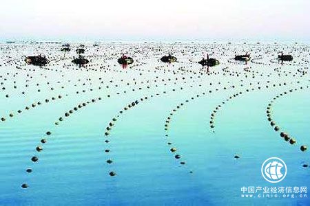 中国海洋发展指数近七年年均增速为5.0%