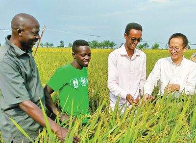 中非农业合作向更广更深领域迈进