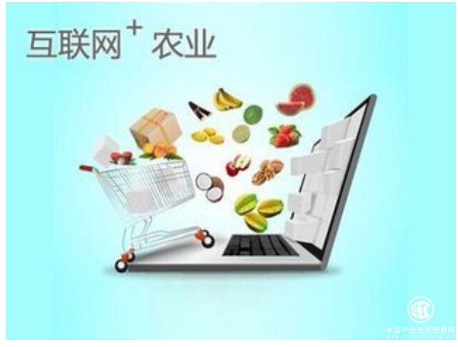 赵朝政创建大理农副产品网.手机，打造农副产品行业领军平台