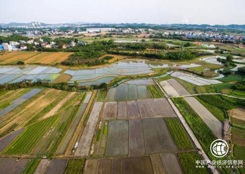 财政部回应：耕地轮作休耕试点如何保证农民不吃亏