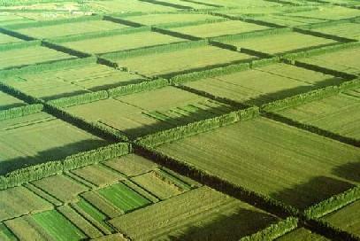 国土部全面落实永久基本农田特殊保护制度