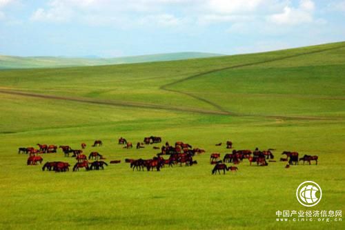 内蒙古乌拉特中旗：草原生态游助力牧民脱贫增收