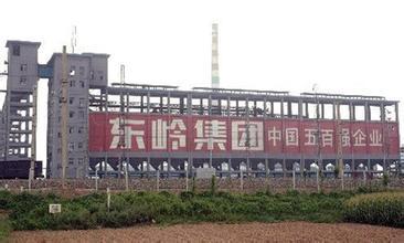 东岭集团成为陕西首个收入过千亿元的民营企业