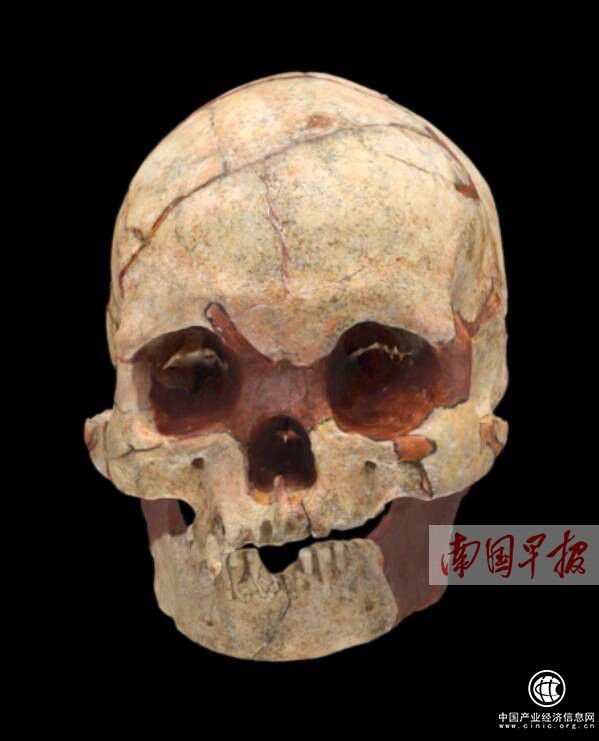 广西隆安发现1.6万年前人类头骨化石和石制品