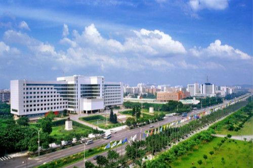 广州高新区数字经济知产保护行动方案出台