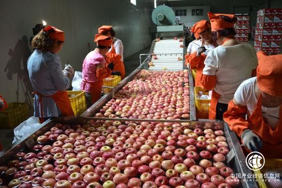 山西省水果类批发均价周环比下降1.79%