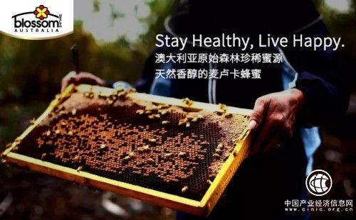 澳洲Blossom Health麦卢卡蜂蜜成游客必备手信