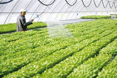 宁夏银川加快构建绿色高端现代农业