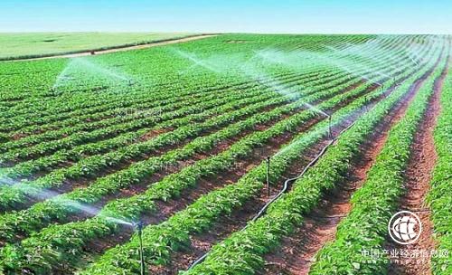 新疆“三品一标”助推新时代农业绿色发展