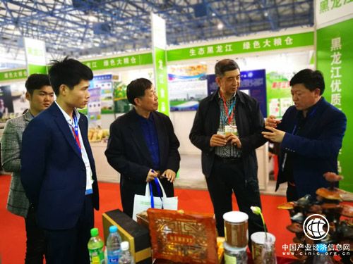 小灵芝成就大产业——坤健农业董事长祝嗣臣的寒地灵芝情