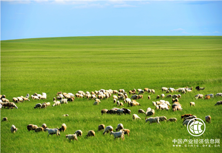内蒙古2.24亿亩草原开始春季“带薪休假”
