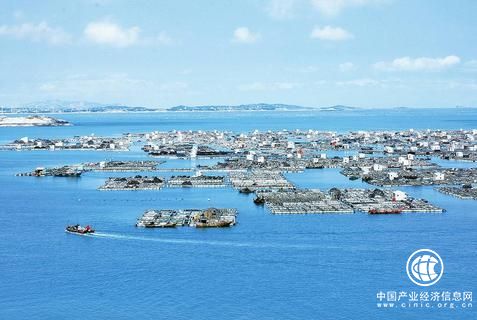 江苏盐城：风生水起的海洋经济