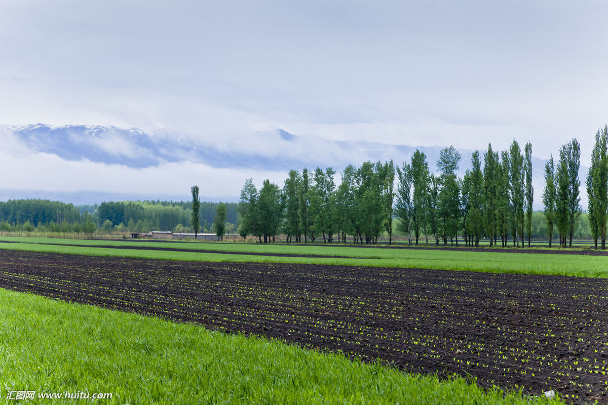 绿色点染希望的田野——全国春耕生产形势综述