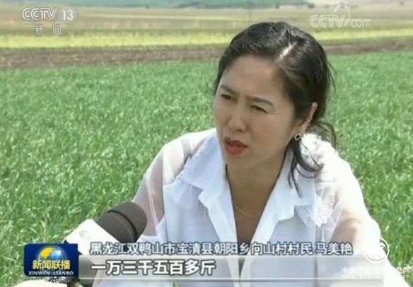 黑龙江调整优化种植结构农业供给侧改革推进现代农业