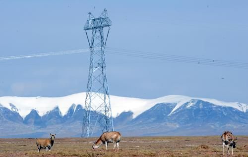 “电力天路”已累计向西藏输送电量超52亿千瓦时
