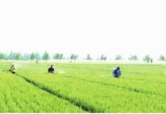 黑龙江省多个项目入选2023年农业产业融合发展项目