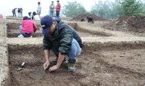 河南省建立15处典型古生物化石群落 发现8000余处化石点