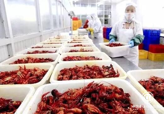 江苏盱眙龙虾产业经济总产值139.41亿元 全产业链打造一二三产融合