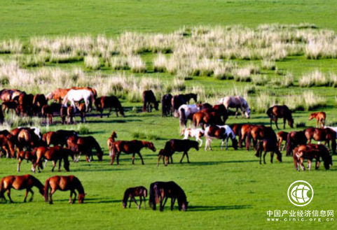 内蒙古赤峰市打造绿色农畜产品输出基地
