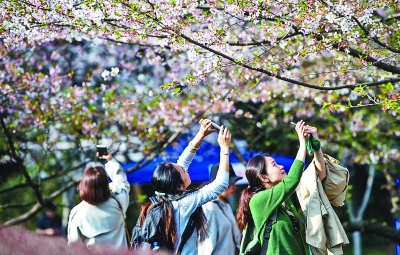 2019年内地109所高校将免试招收香港学生