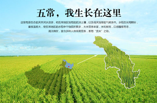 “中国优质稻米之乡·五常大米节”8月28日至30日举办